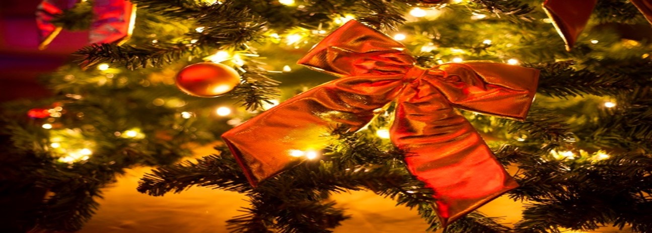 kerst-dennen